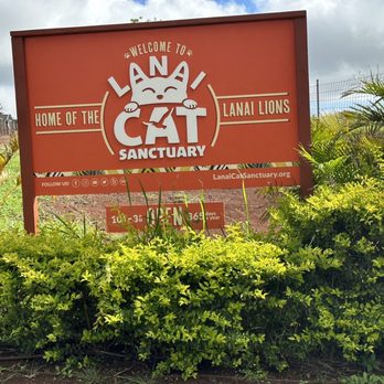 Lanai Cat Sanctuary - Animal Shelters Near Me - Lanai City, Hawaii Lanai Cat Sanctuary - Animal Shelters Near Me - Lanai City, Hawaii
