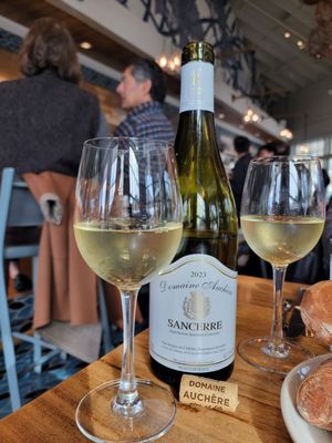 Hog Island Larkspur by null