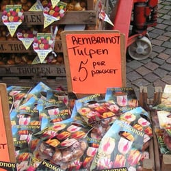 Markt
