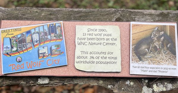Western North Carolina Nature Center by null