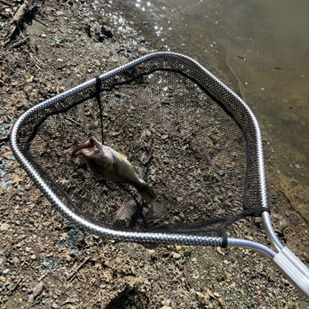 Stevens Creek County Park - Use a weighted texas rig with a BOOSA 6.5 SHAKEY WORM - PLUM BUG color - Parks Near Me - Cupertino, California Stevens Creek County Park - Use a weighted texas rig with a BOOSA 6.5 SHAKEY WORM - PLUM BUG color - Parks Near Me - Cupertino, California