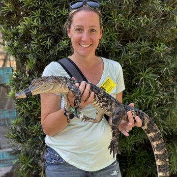 Gatorland - Zoos Near Me - Orlando, Florida Gatorland - Zoos Near Me - Orlando, Florida