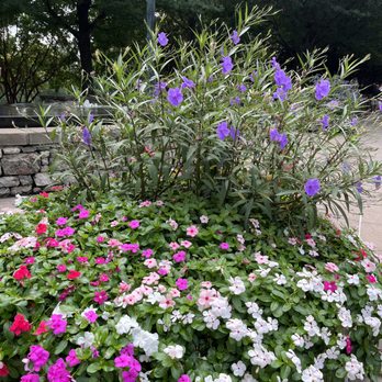 Falls Park - Venues & Event Spaces Near Me - Greenville, South Carolina Falls Park - Venues & Event Spaces Near Me - Greenville, South Carolina