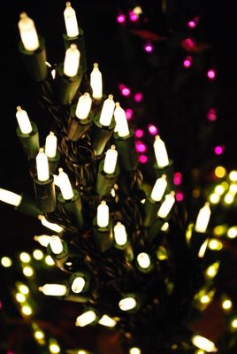 Garden d’Lights by null