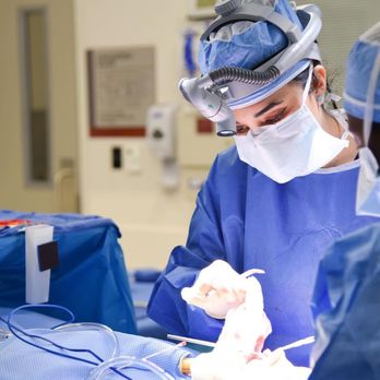 SANAZ HARIRCHIAN, MD - Updated August 2025 - 76 Photos
