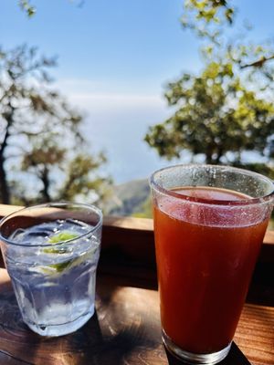 Nepenthe by null Nepenthe by null