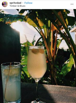 Timber & Blues by null