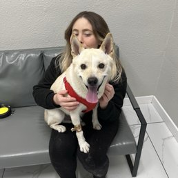 My happy puppy My happy puppy
