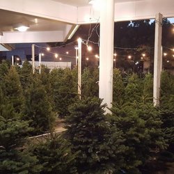 Boy Scouts Christmas Tree Lot