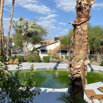 The Robinson Group - Real Estate Services Near Me - scottsdale, Arizona The Robinson Group - Real Estate Services Near Me - scottsdale, Arizona
