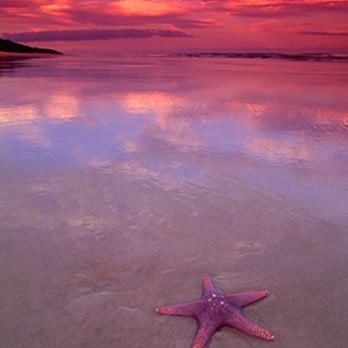LIK Fine Art - From www.peterlik.com - Art Galleries Near Me - Key West, Florida LIK Fine Art - From www.peterlik.com - Art Galleries Near Me - Key West, Florida
