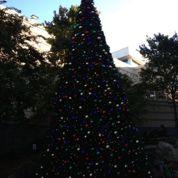 Triangle Town Center - I love the Christmas tree they put up on the holidays:) - Shopping Centers Near Me - Raleigh, North Carolina