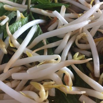 Pho Time - A sea of healthy green and white - Vietnamese Near Me - Aiea, Hawaii Pho Time - A sea of healthy green and white - Vietnamese Near Me - Aiea, Hawaii