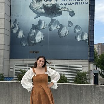 Georgia Aquarium - Exterior from Aquarium Parking Deck roof - Aquariums Near Me - Atlanta, Georgia Georgia Aquarium - Exterior from Aquarium Parking Deck roof - Aquariums Near Me - Atlanta, Georgia