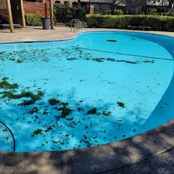 Al's Pool and Spa