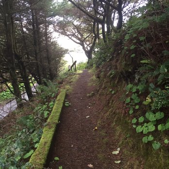 Ocean House - Walk path to beach from Ocean House - Hotels Near Me - Newport, Oregon