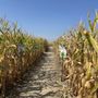 Photo of Tuttle Orchards