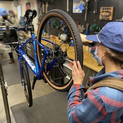 Bicycle Express - Service Bike shop