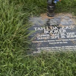 Valhalla Cemetery - The overgrown grass
