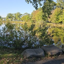 Springfield Park