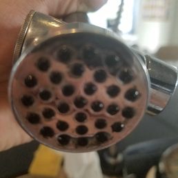 Kitchen sink with some black mold and black slime Kitchen sink with some black mold and black slime