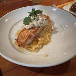 La Rana Bistro - Seared Salmon
