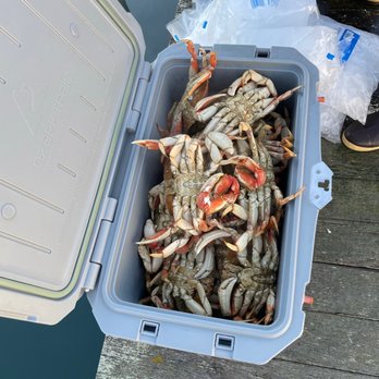 North Bay Fishing Charters - Cooked crabs. - Fishing Near Me - Bodega Bay, California