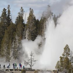 Mountain Man Guiding - Grand, the largest predictable geyser on Earth!