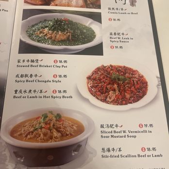 Chengdu cuisine - B13. Sliced Beef with Vermicelli in Sour Mustard Soup - Chinese Near Me - Birmingham, Alabama Chengdu cuisine - B13. Sliced Beef with Vermicelli in Sour Mustard Soup - Chinese Near Me - Birmingham, Alabama
