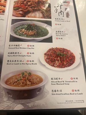 Menu photo 1 Chengdu cuisine Birmingham, AL Menu photo 1 Chengdu cuisine Birmingham, AL