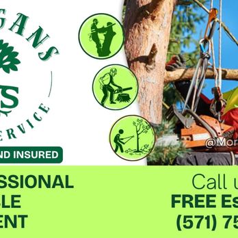 1. Morgans Tree Service