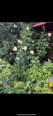 Martha's Leelanau Table by null