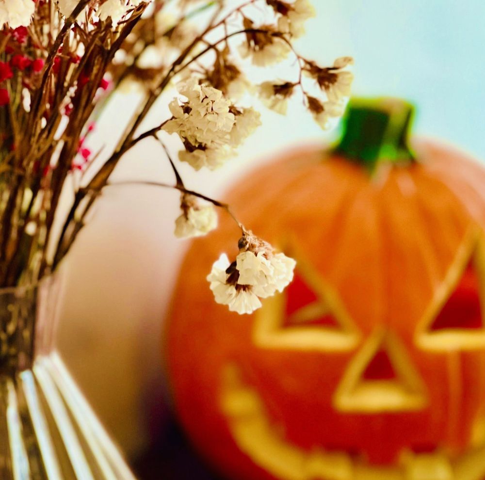 Social spots from Copilot Coffee Co