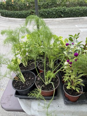 The Gardens GreenMarket by null