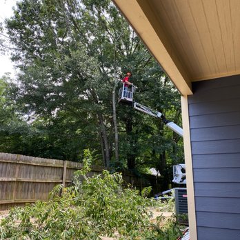Pro Tree Inc - Young arborist clearing room for our new PVC fence! - Tree Services Near Me - Jonesboro, Georgia Pro Tree Inc - Young arborist clearing room for our new PVC fence! - Tree Services Near Me - Jonesboro, Georgia