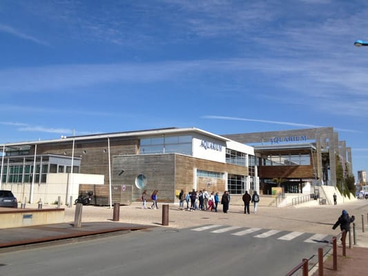 La Rochelle Aquarium by null