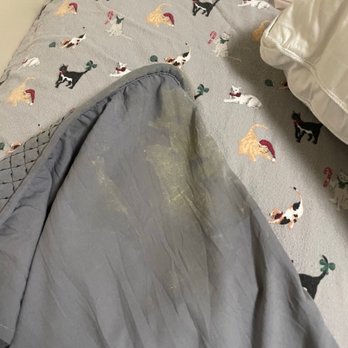 Vivante Newport - Soiled sham placed on my mom's bed by housekeeping - Retirement Homes Near Me - Costa Mesa, California