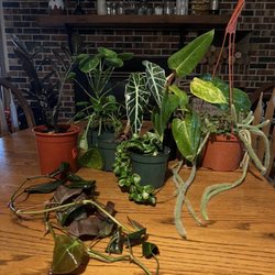 Bayside Garden Center