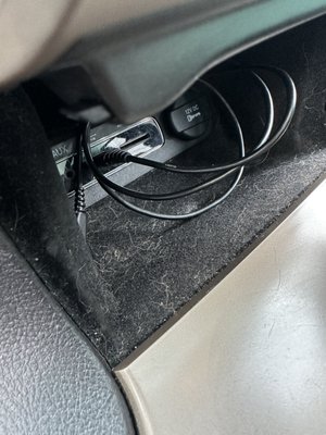 Octopus Car Wash by null