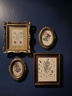 PREQUEL & CO. APOTHECARY by null