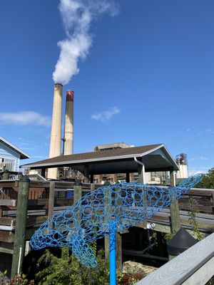 Manatee Viewing Center by null