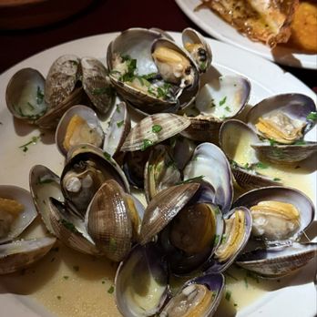 Cervo's - Manila Clams with Garlic and Vinho Verde - Seafood Near Me - New York, New York