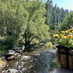 View from the back patio