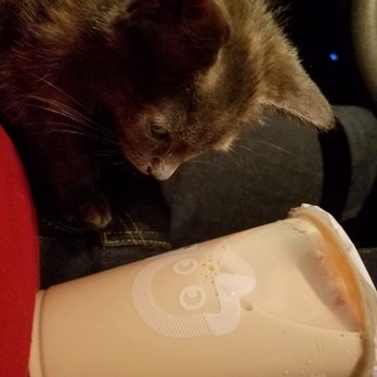 Coco Fresh Tea & Juice - Sammi is focused on her milk tea - Bubble Tea Near Me - New York, New York