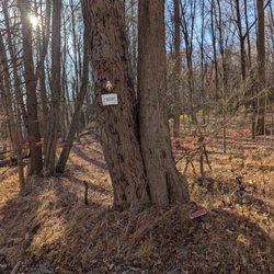 Appalachian Trail