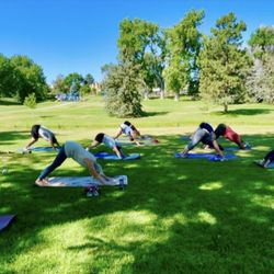 Red Lotus Yoga - Pop up yoga in the park