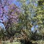 Photo of San Dimas Canyon Park