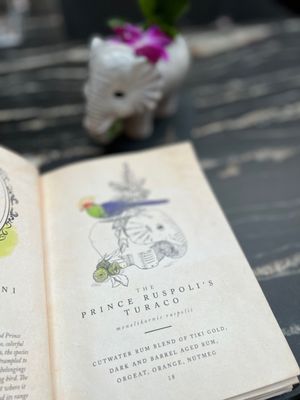 Understory Bar by null