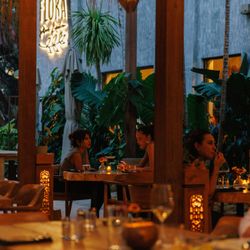 Flora - Outdoor Patio in the Evening