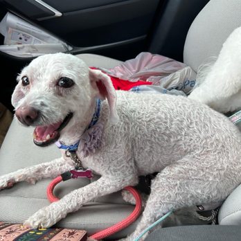 Furry Tails - Pet Boarding Near Me - Dallas, Texas